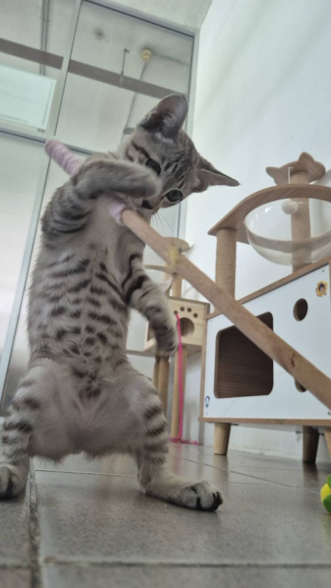 JohnJud | CUVET Animal Welfare Club tweet media