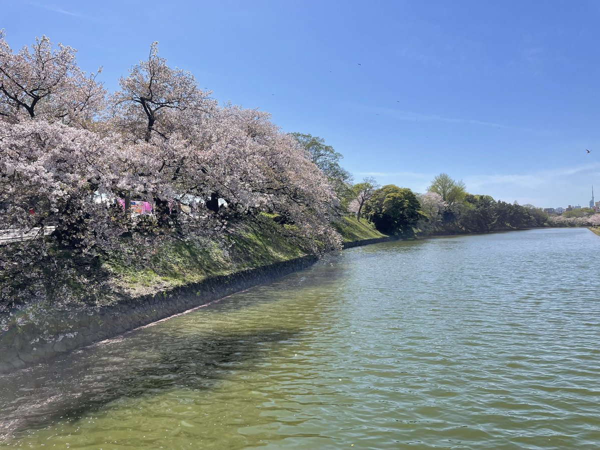 霧谷 のあ🌽 tweet media