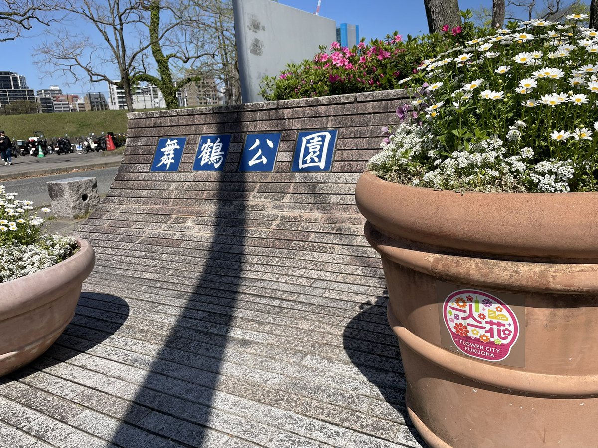 霧谷 のあ🌽 tweet media