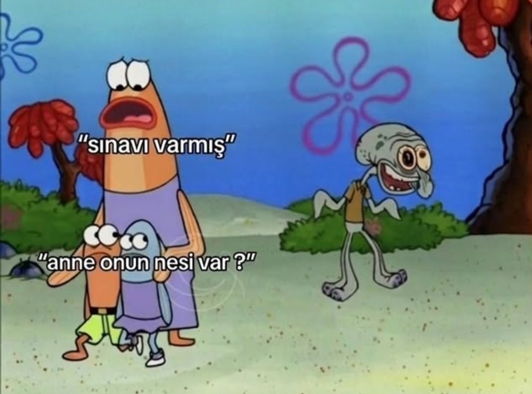 l'm just a girllll🐰🦩 tweet media