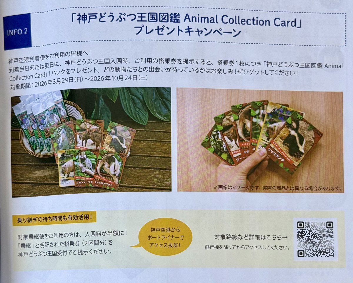 るるﾋﾞ🦫 tweet media