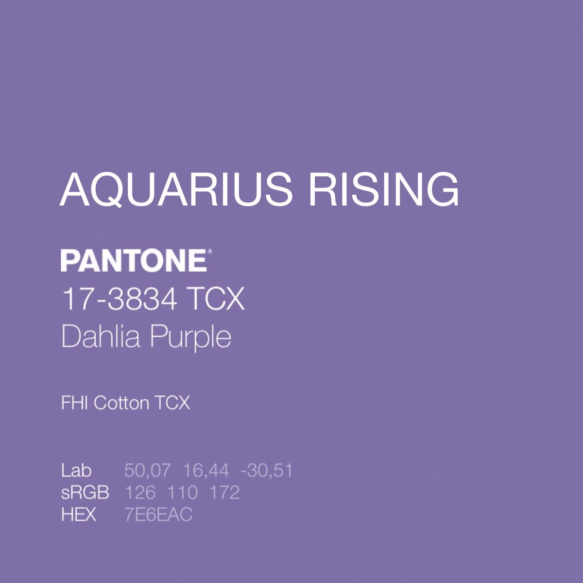 N. 🌷🍬 tweet media