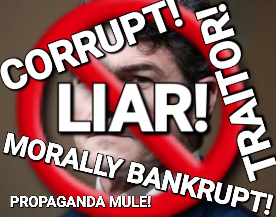 Amanda ⚖️🏛👩🏼‍💼🇺🇲 tweet media