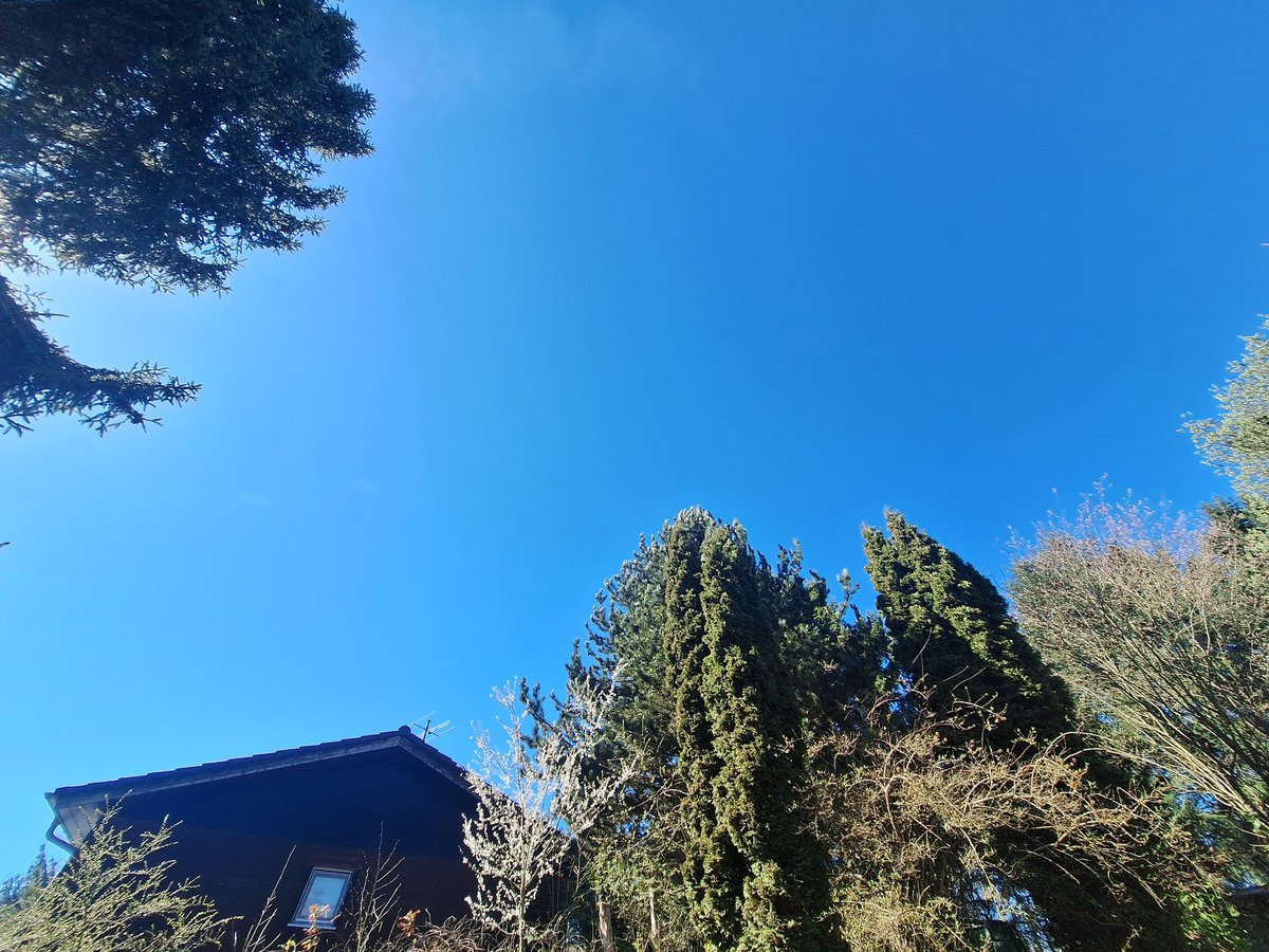 Landcruiser*in tweet media