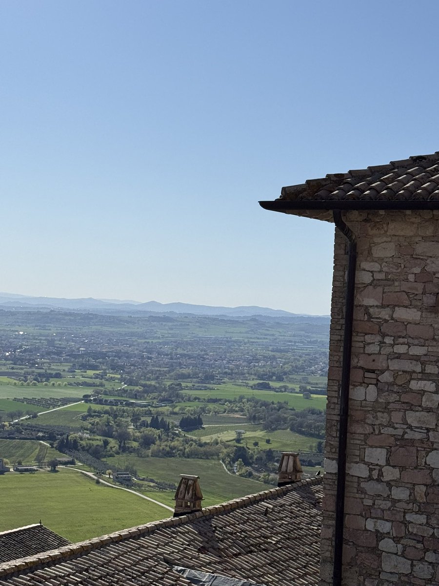 Paulo Moreno tweet media