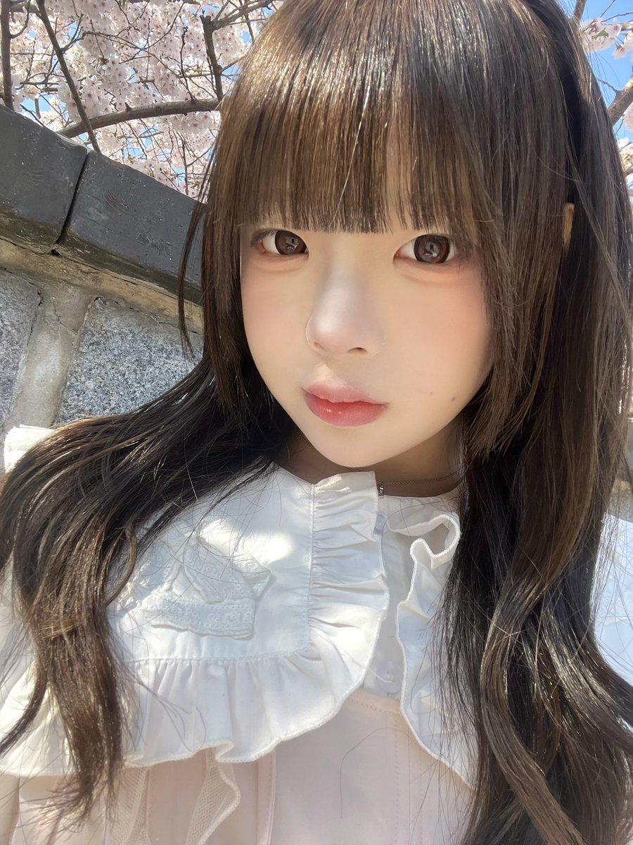 밍밍0i tweet media