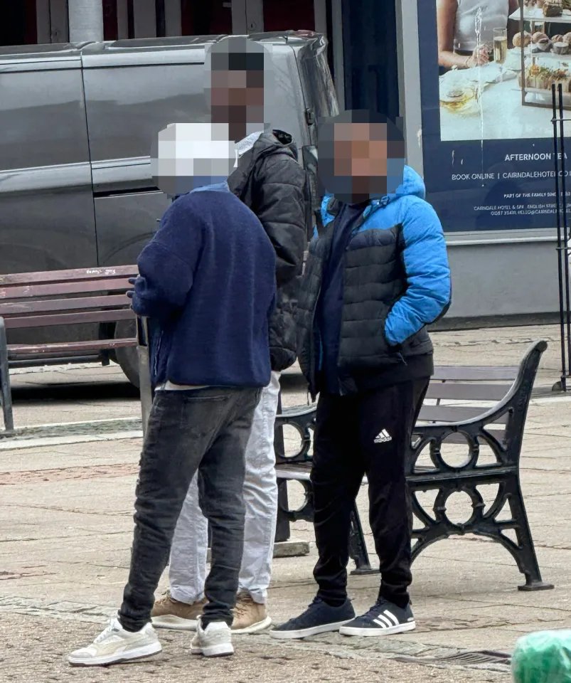 Yorkshire Rose tweet media