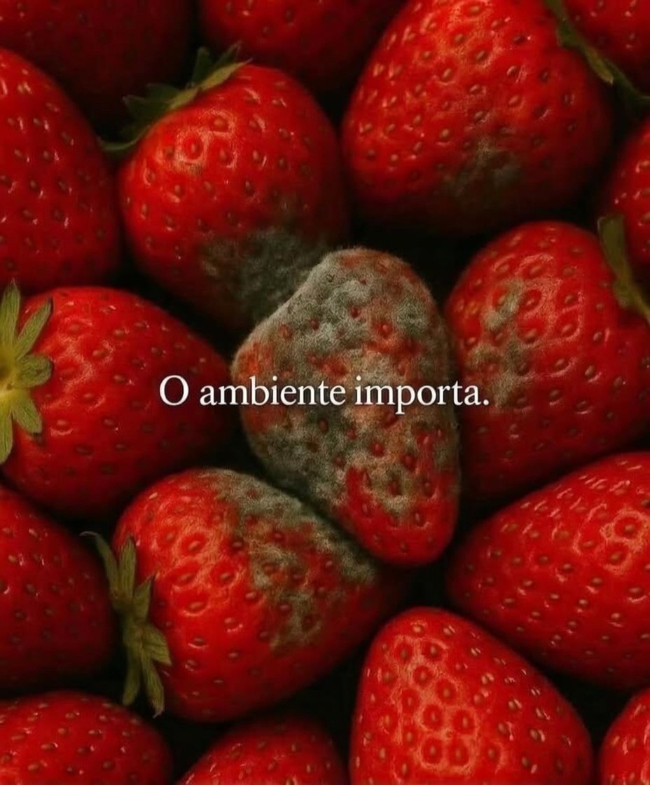 Afrodite tweet media