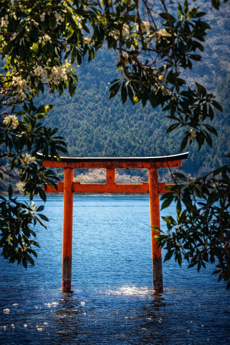 thunder⚡技術書を日韓で販売中 tweet media