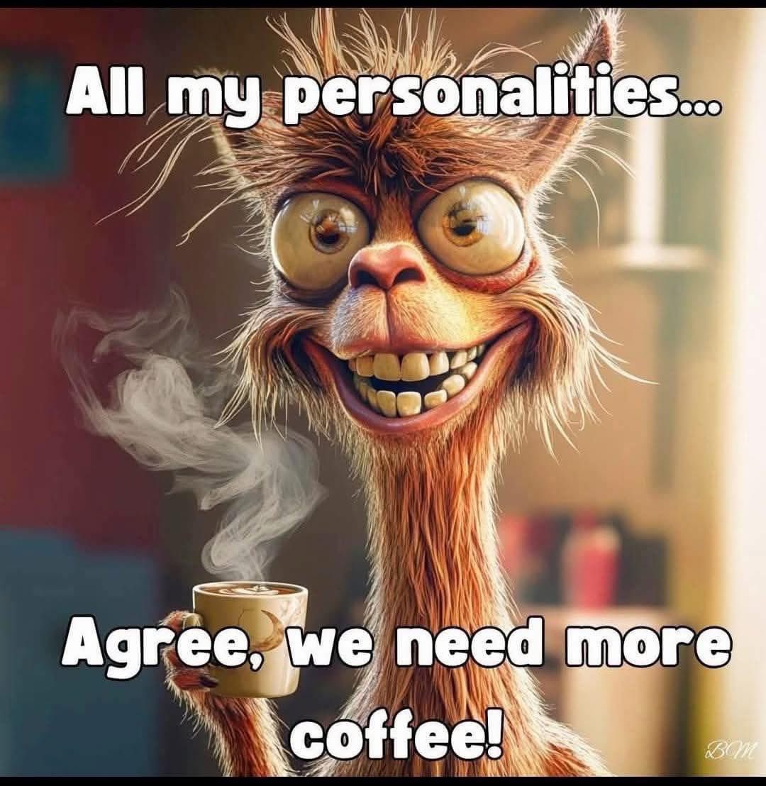 Mike Bales 🫡🇺🇸 tweet media