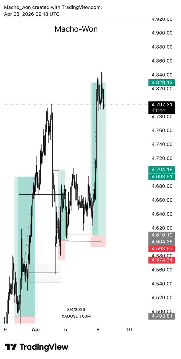 Macho_Won โฐ tweet media