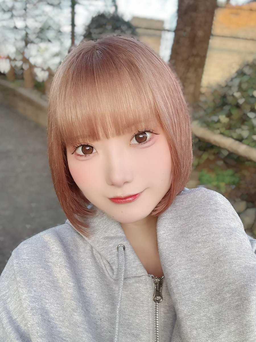 愛園みぃさ【踊れ！神風】 tweet media