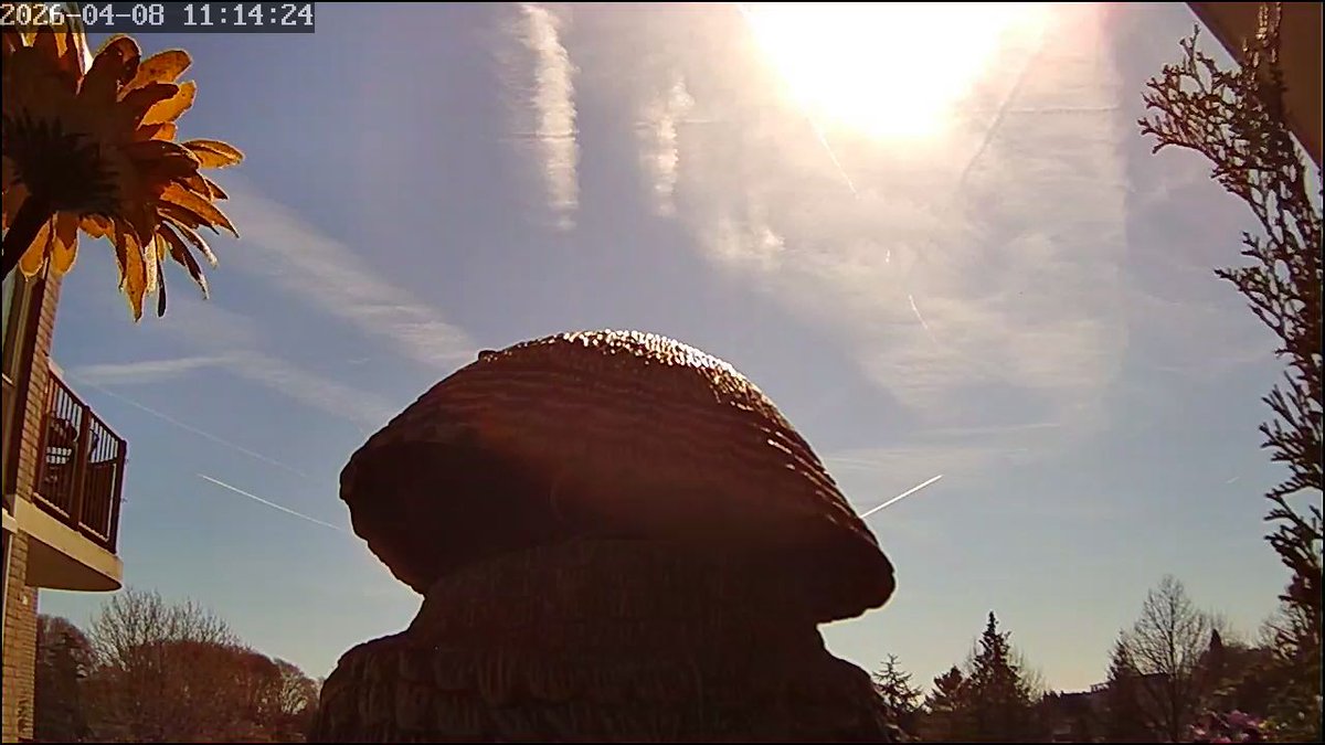 Chemtrails 

Zoetermeer 8 april 2026