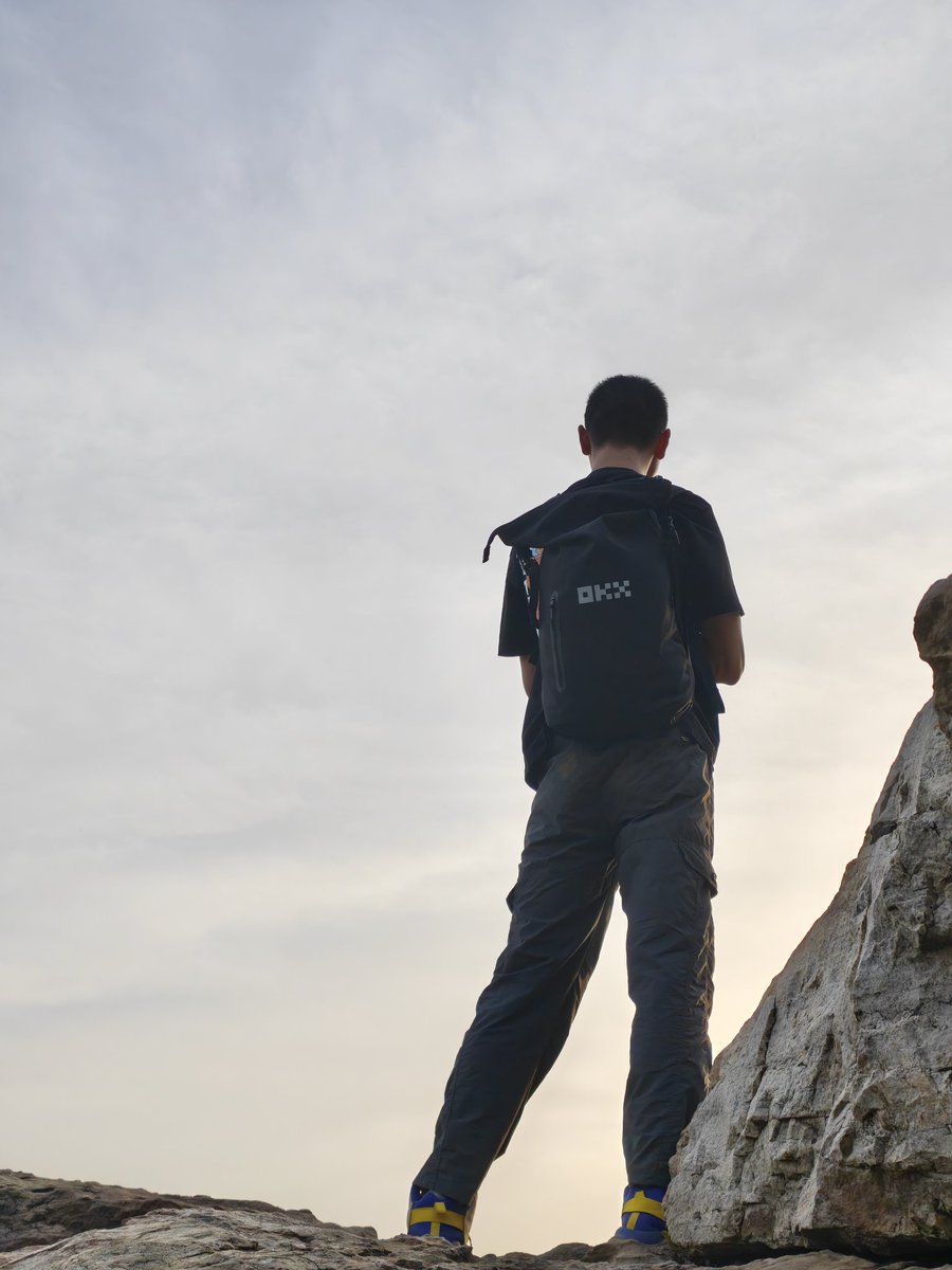 不会做饭的炒币小白 tweet media