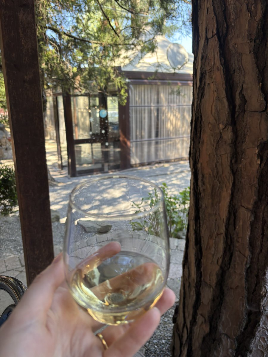 Saphwyn's tweet photo. Countryside wine tour in Italy 🇮🇹 

This was my last adventure before I go home, I will see everyone April 11 for my return stream :)) https://t.co/BYggPjrKxK