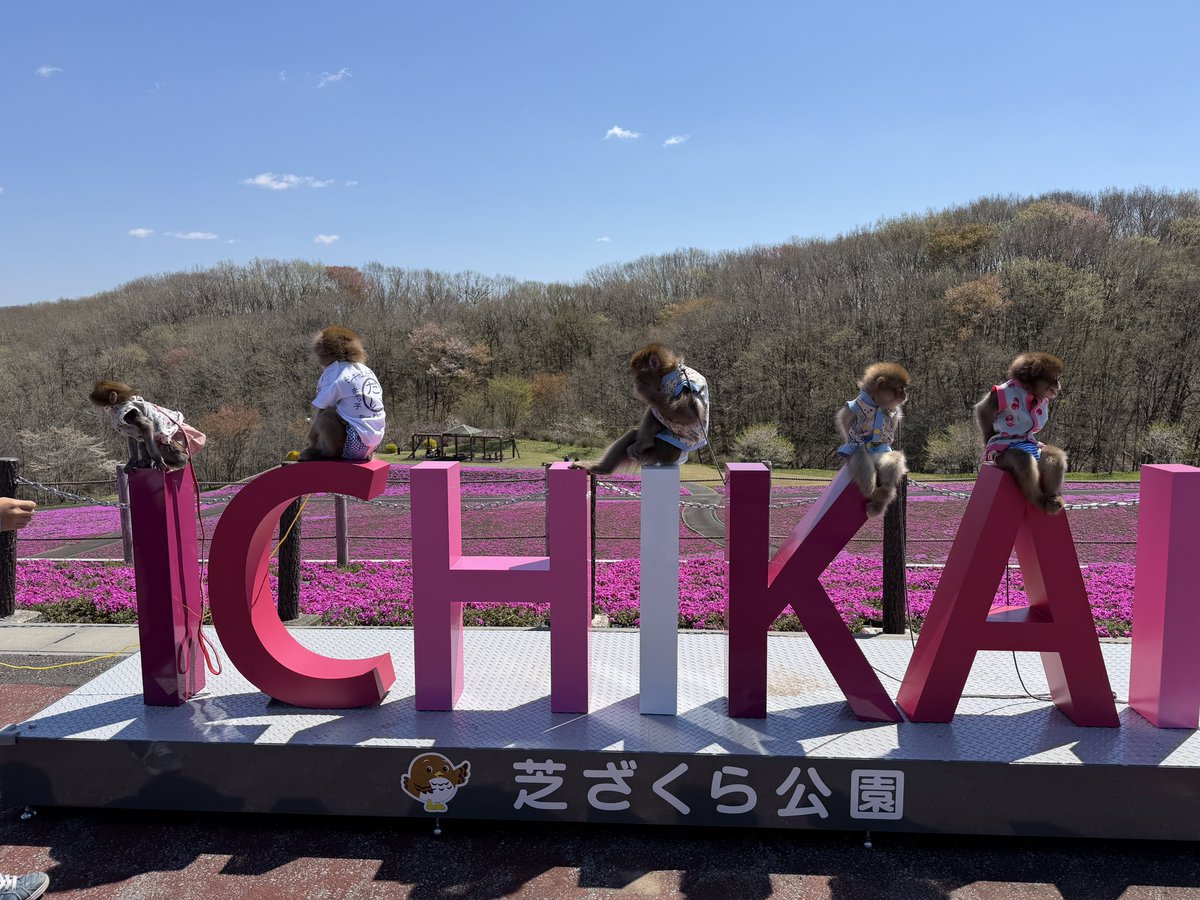 利美トレーナー tweet media