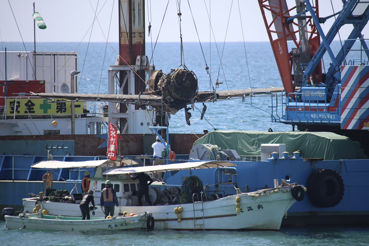 ぽんぽこ tweet media