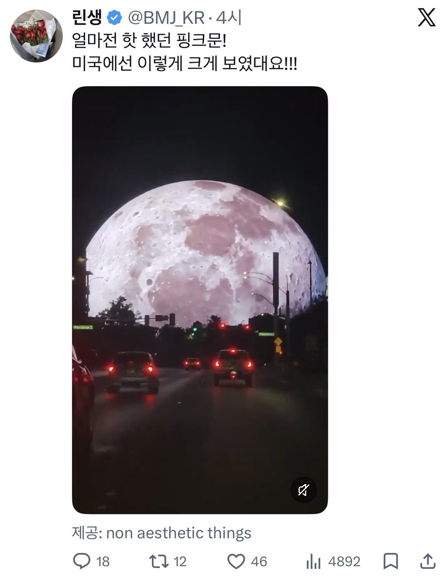 Summer M tweet media