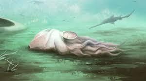 Greenstories - Stories about mother earth tweet media