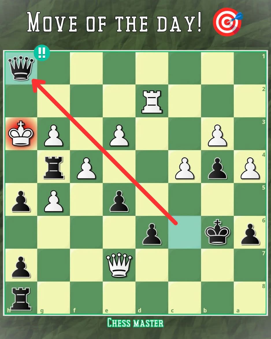 Chess Master tweet media