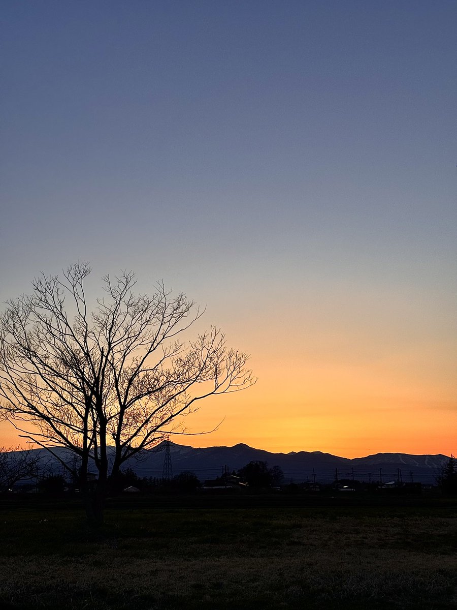 佐々木小次郎 tweet media