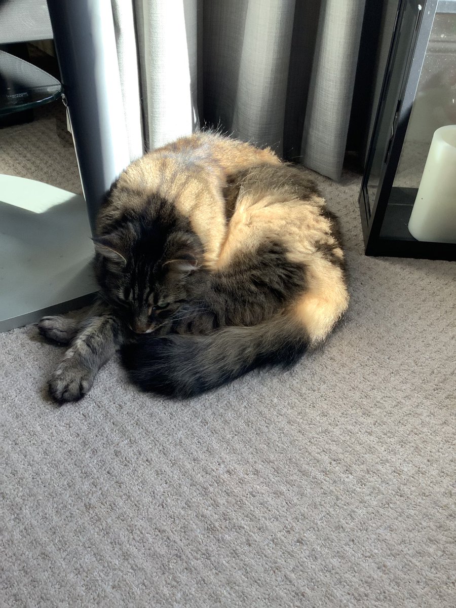 Guy Andrews-Scott tweet media