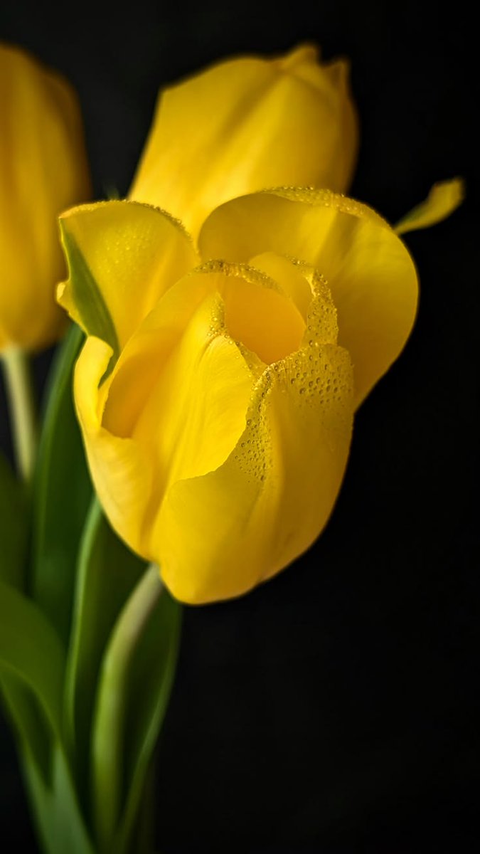 โฟป ๐๐๐ก๐ก๐ฆ ๐ tweet media