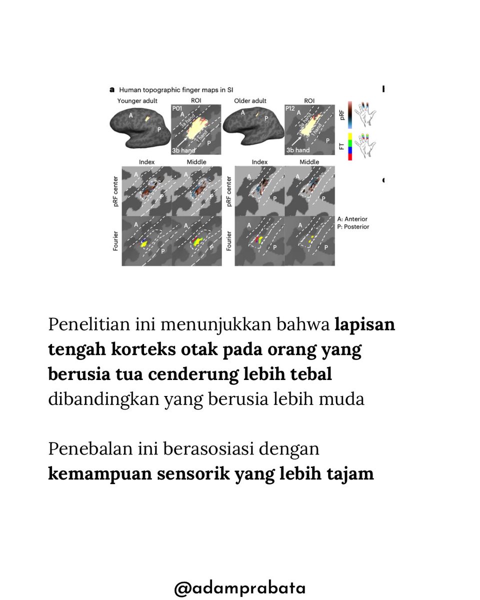 dr. Adam Prabata tweet media