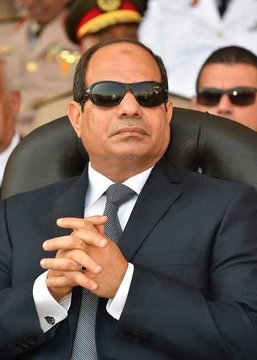 Noosha Shehab tweet media