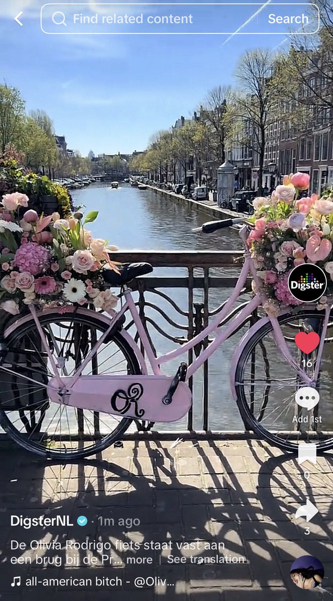 kyra🐇 DIANA DAY tweet media