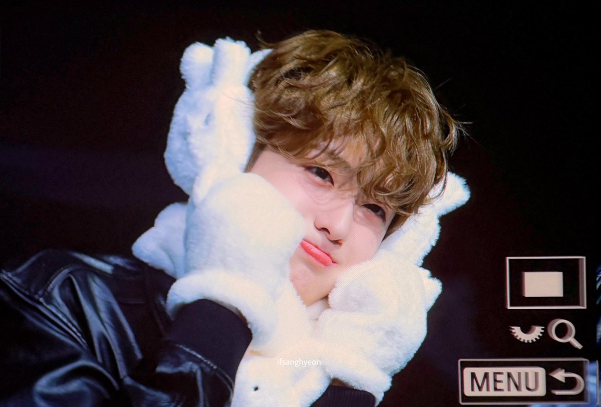 정상현 강아지 tweet media