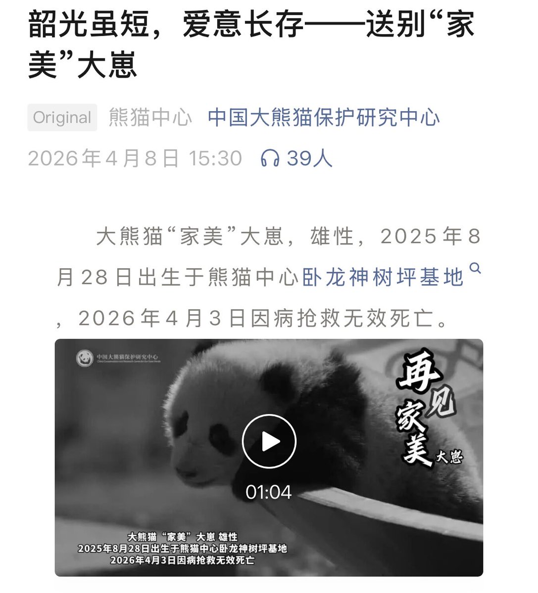 วิเชียรไก่ย่าง tweet media