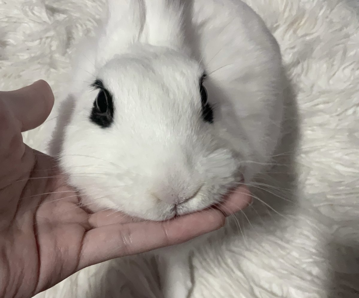 김무끼 tweet media