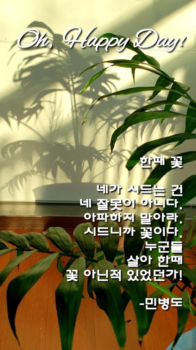 Yan Wenbi (@hausercello6234) on Twitter photo 