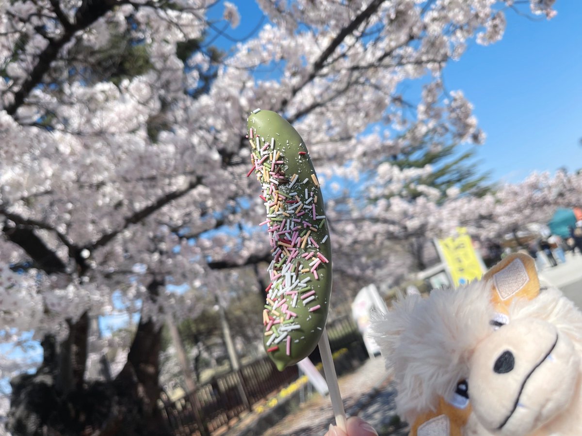 お茶🍵 tweet media