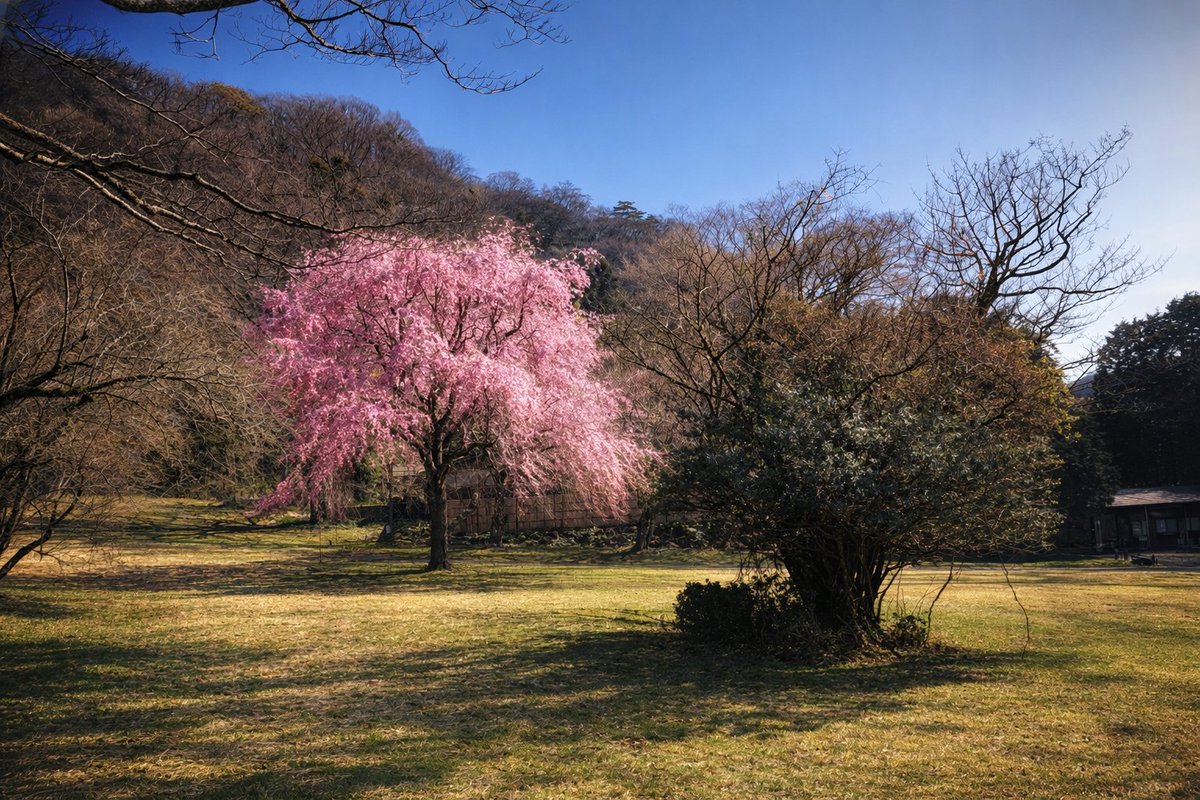 thunder⚡技術書を日韓で販売中 tweet media