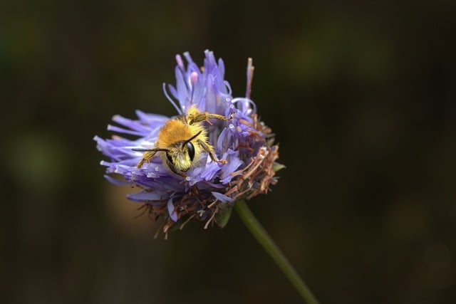 Miguel Clark tweet media