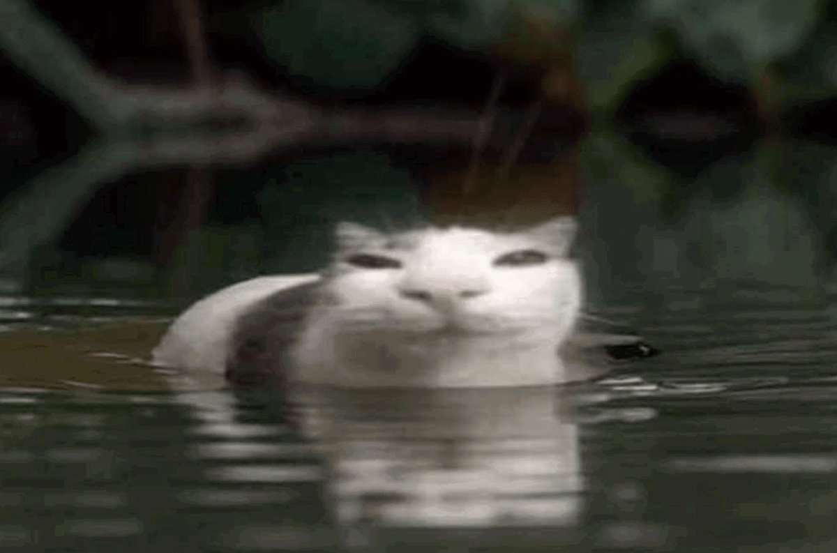 ilkbahar⋆⭒˚.⋆( ´ ▽ ` ) tweet media