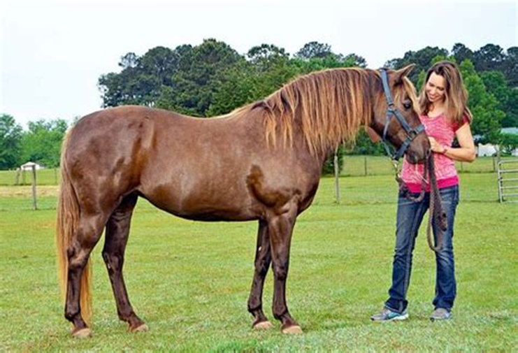 Eva Close tweet media