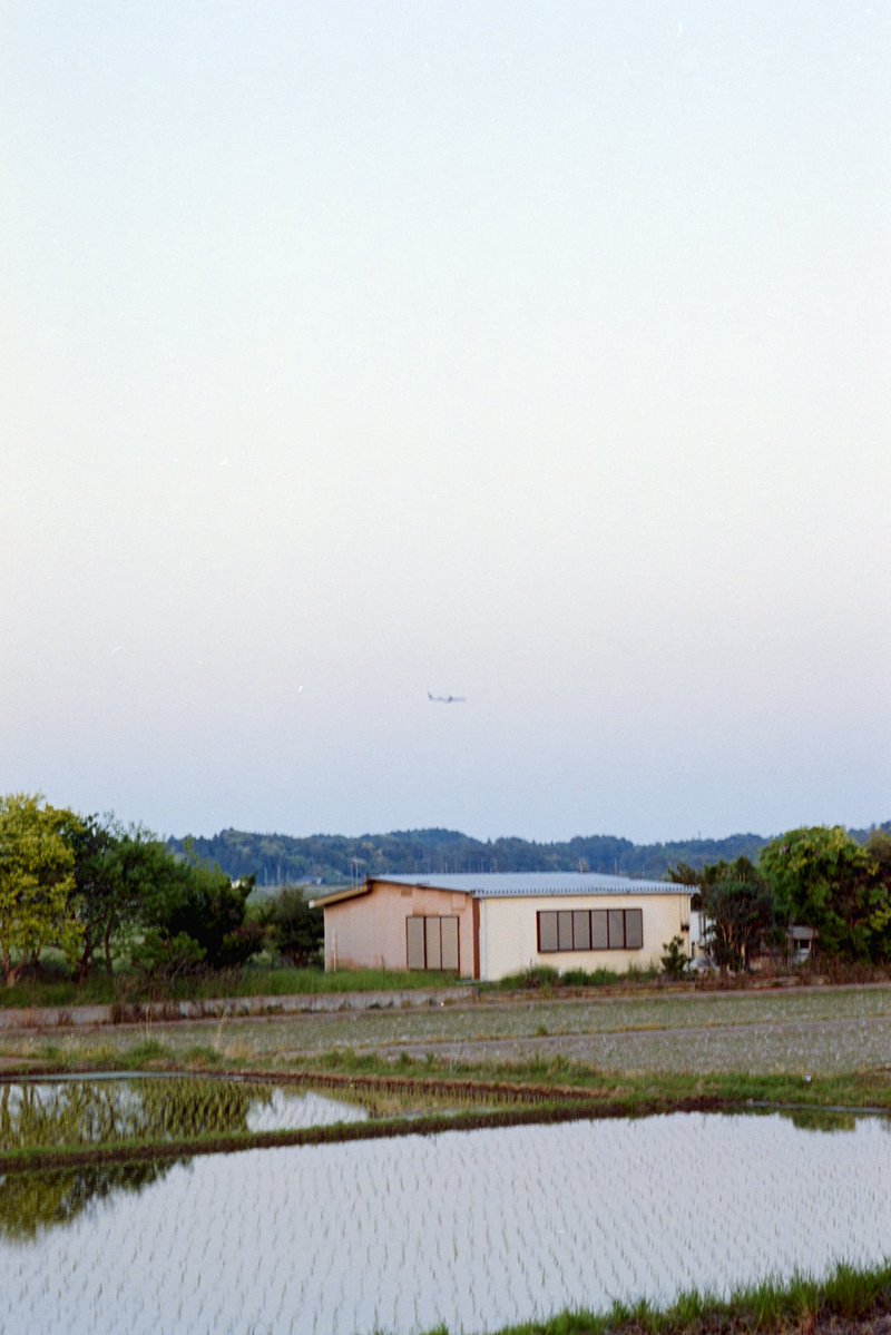 Tanao l 田中 菜生 tweet media