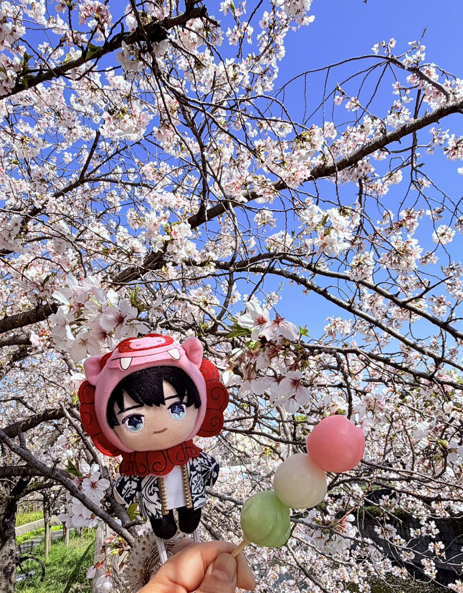 YKo0721's tweet photo. 絶��のお花見日和🌸

ぬい達をバッグに詰め込んで
自転車で近くの公園へ🚲

綺麗な桜を背景に撮影を
楽しんだ後は、お家でゆっくり
お団子タイム🍡😋

#お花見 #ぬい撮り #ぬい活 
#推し活
#有馬芳彦 さん #石部雄一 さん 
#関口裕也 さん https://t.co/UTvk4zqs7Z