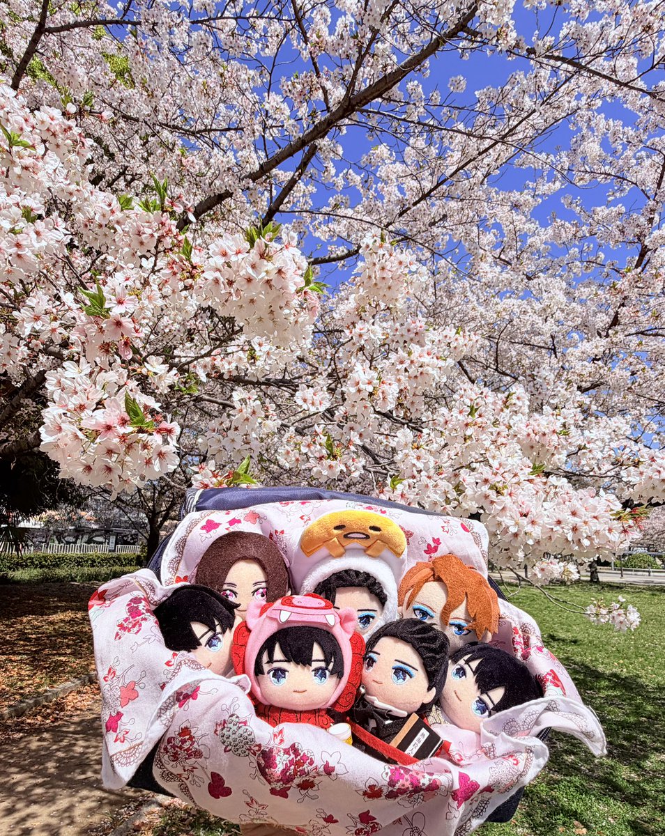 YKo0721's tweet photo. 絶��のお花見日和🌸

ぬい達をバッグに詰め込んで
自転車で近くの公園へ🚲

綺麗な桜を背景に撮影を
楽しんだ後は、お家でゆっくり
お団子タイム🍡😋

#お花見 #ぬい撮り #ぬい活 
#推し活
#有馬芳彦 さん #石部雄一 さん 
#関口裕也 さん https://t.co/UTvk4zqs7Z