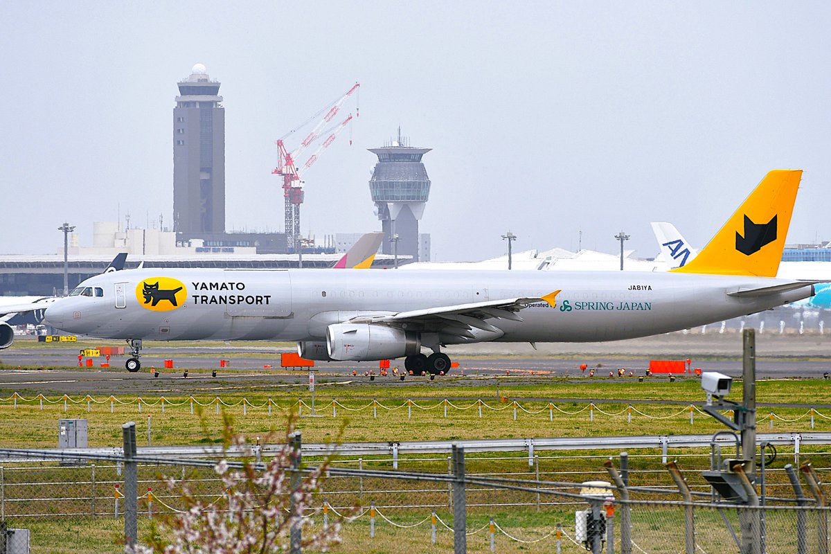 ryuichi_makino's tweet image. 皆様、今日も一日お疲れ様でした🌙

まだ寝ませんが...おやすみなさい😴

#YAMATO_TRANSPORT #ヤマト運輸
#A321P2F #JA81Y
#成田空港 #航空写真
#Nikon