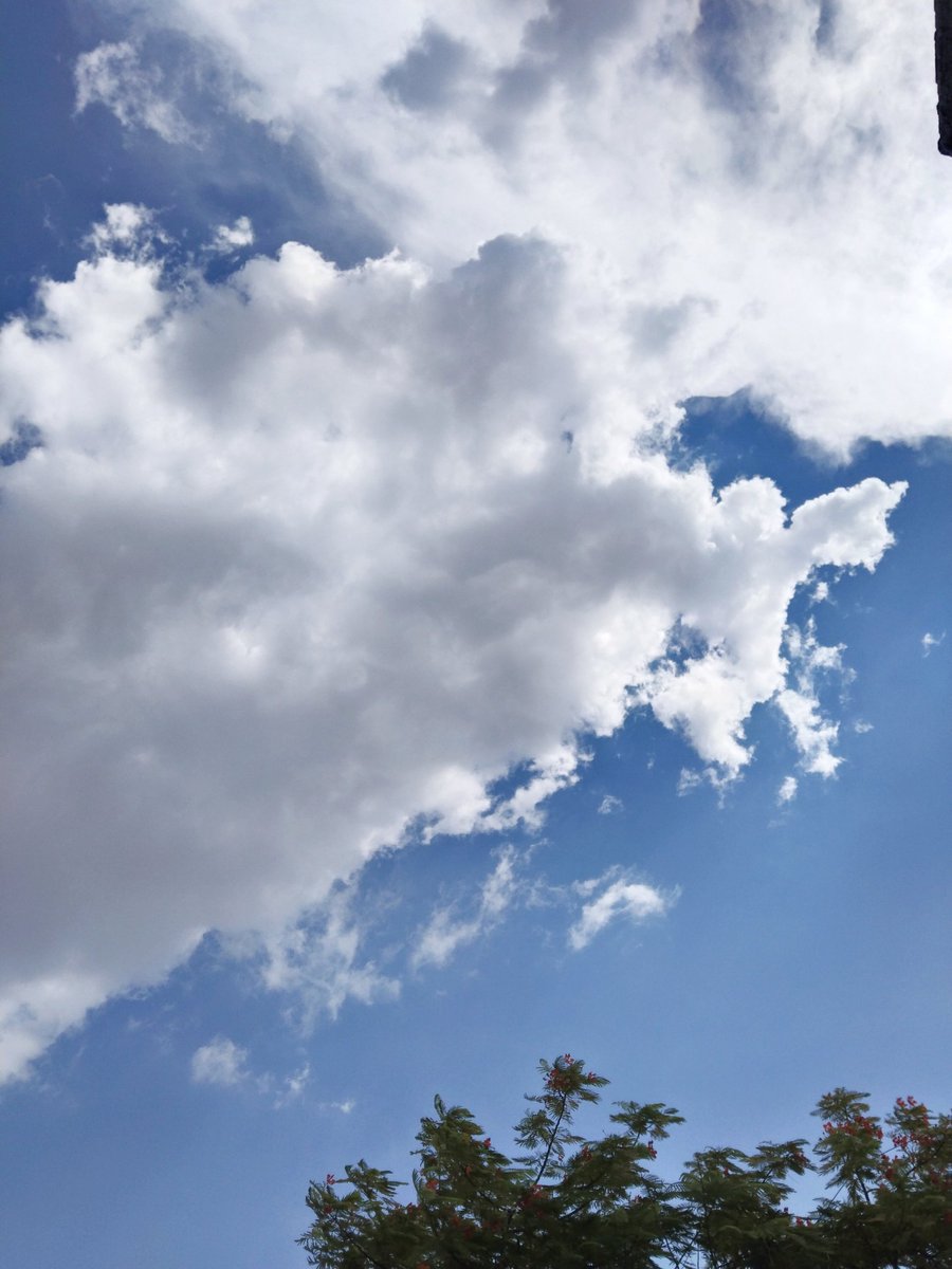 cryptic Ream (❖,❖) tweet media