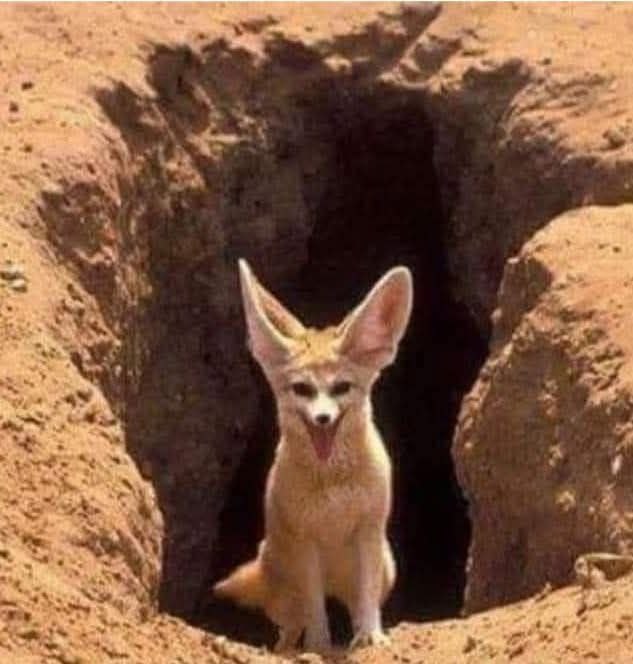 رهام الخزعلية tweet media