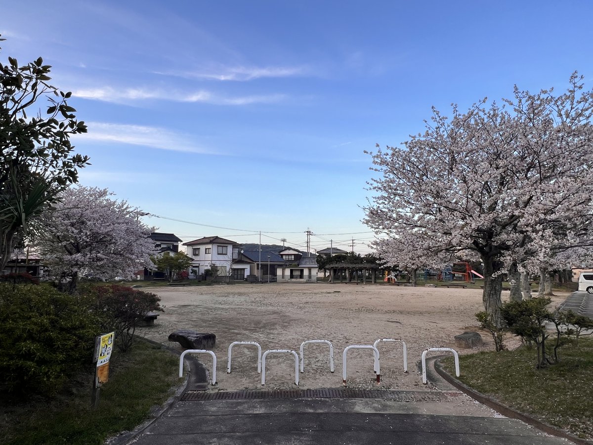 自転車丸飲み(たくさん食べた) tweet media