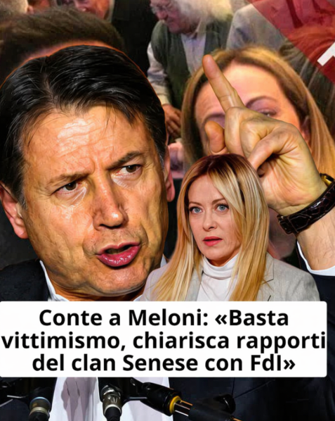 Frenkie_Woody tweet media