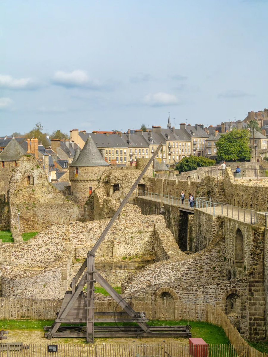 Beauty Explorer tweet media