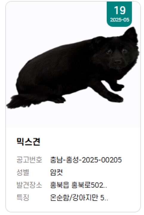 강보ㄹ| tweet media