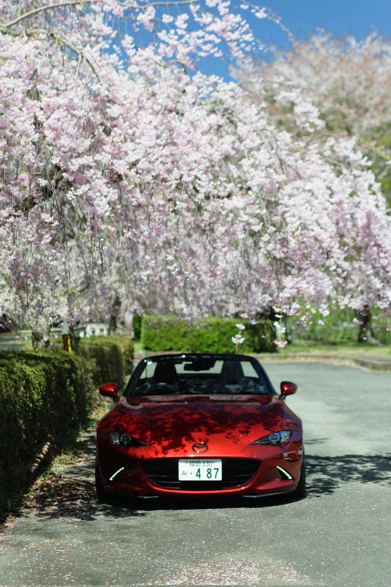 おしゃち🫍(雑多垢) tweet media